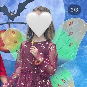Butterfly Fairy Halloween Costume - Girls 4-6 years old